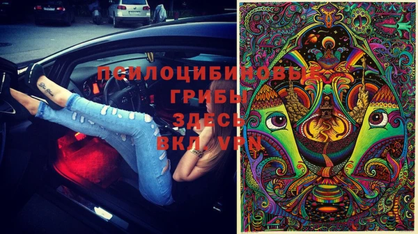 метамфетамин Козловка