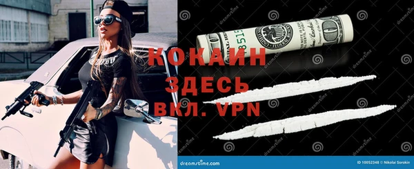 гидра Яровое
