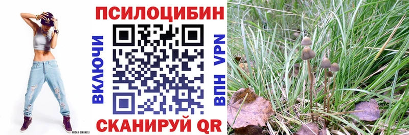 Псилоцибиновые грибы мухоморы Красково
